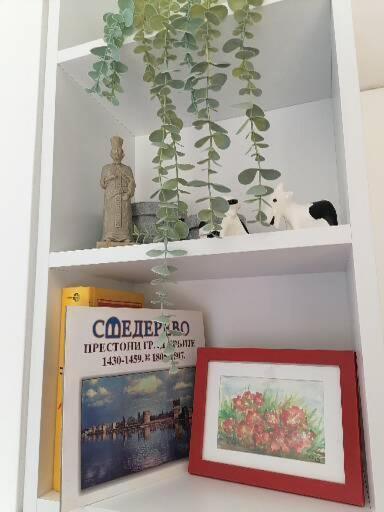 Anka Apartman スメデレヴォ エクステリア 写真