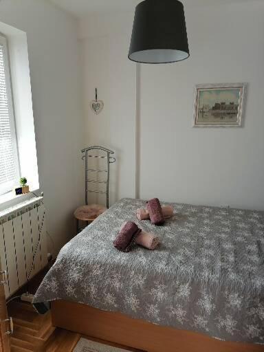 Anka Apartman スメデレヴォ エクステリア 写真
