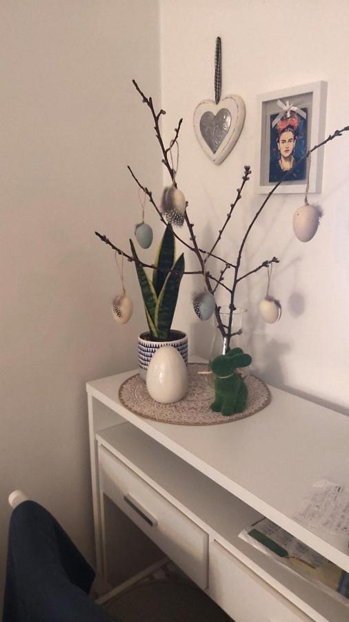Anka Apartman スメデレヴォ エクステリア 写真